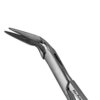 Steiglitz Root Forceps - 45 Deg