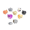Acornimals Tooth Savers Pkg/100