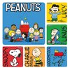 Peanuts Assorted 2.5